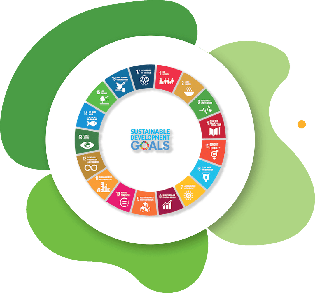 global goals curriculum