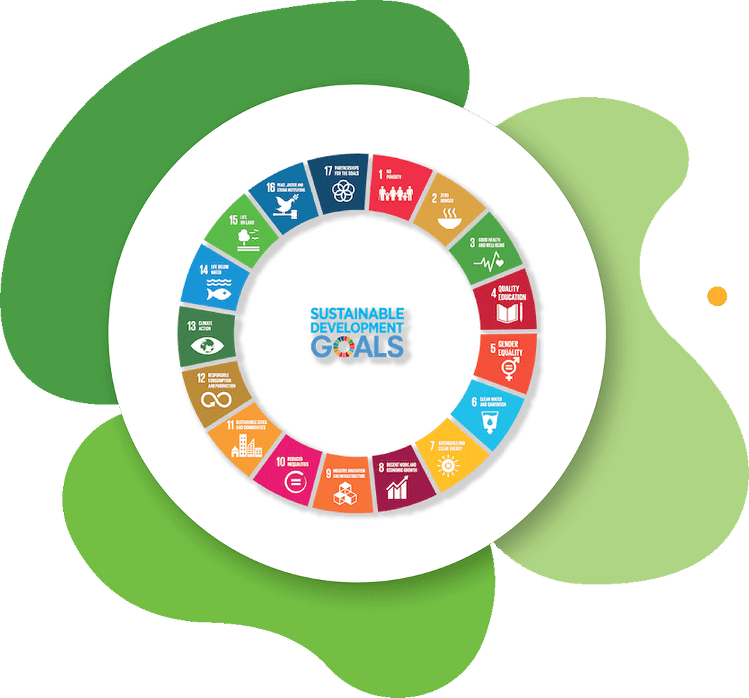 UN sustainable development goals